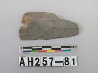 藏品(石矛殘件)的圖片